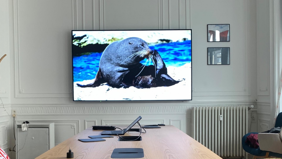 Sala de reuniones - arquitectura protegida